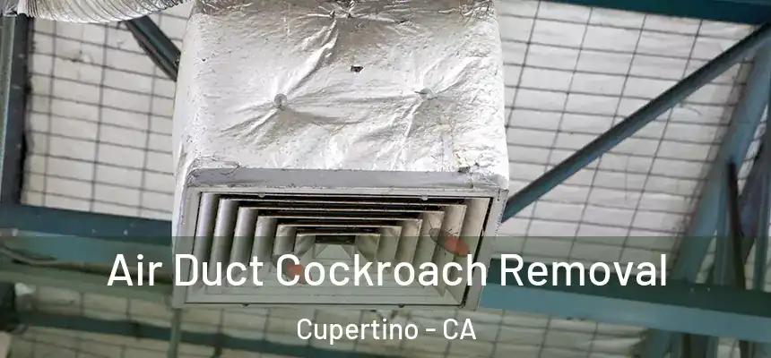  Air Duct Cockroach Removal Cupertino - CA