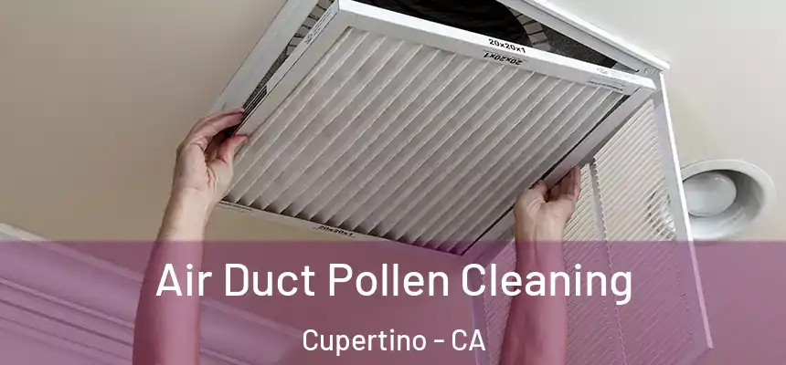  Air Duct Pollen Cleaning Cupertino - CA