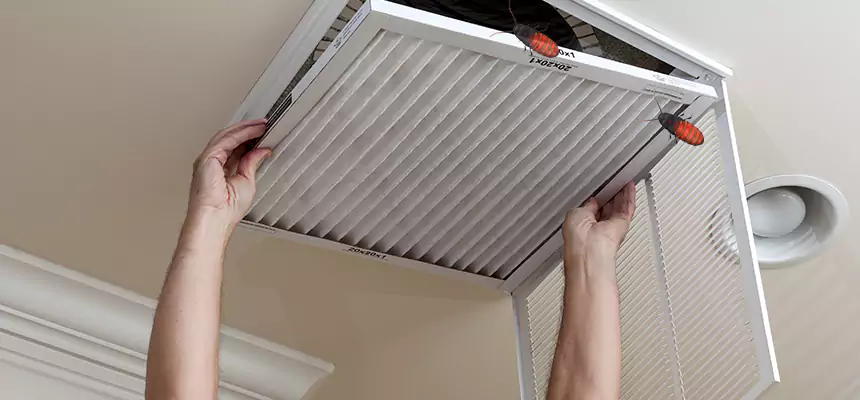Our Insect Removal from Air Ducts Services in Cupertino, CA
