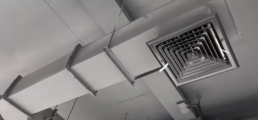 Our Pest Removal From Ducts Services in Cupertino, CA