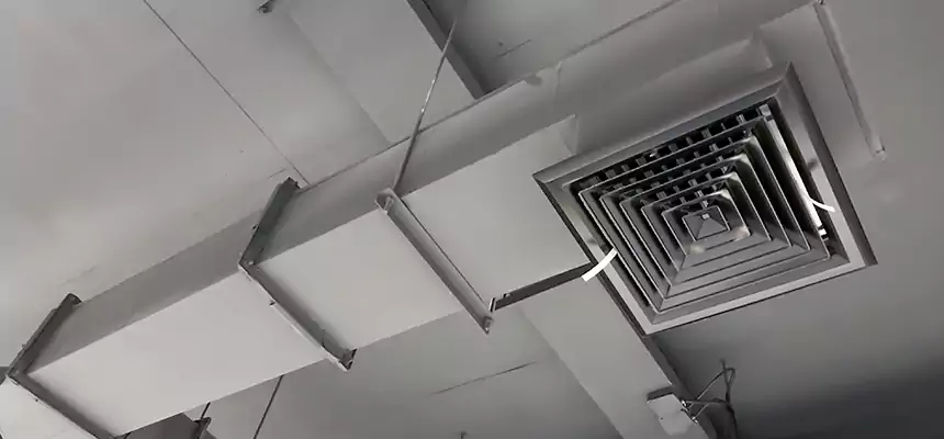 Our Rodent Droppings In Vents Services in Cupertino, CA