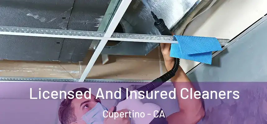  Licensed And Insured Cleaners Cupertino - CA
