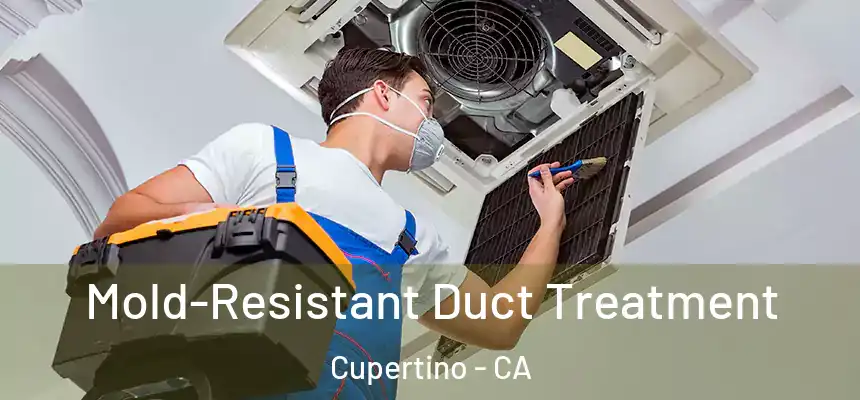  Mold-Resistant Duct Treatment Cupertino - CA