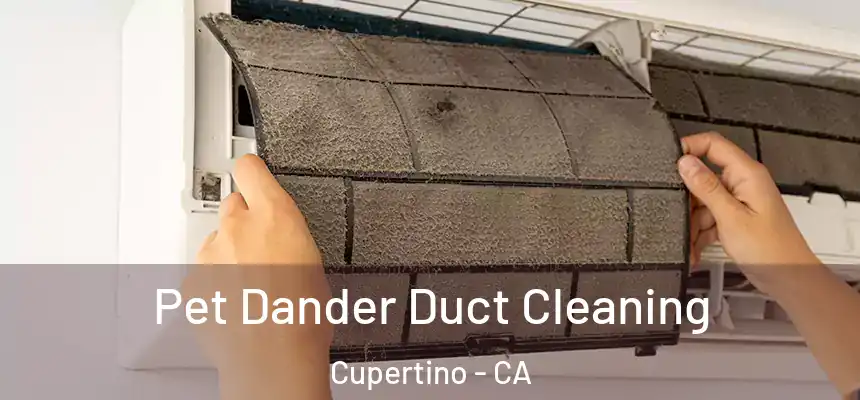  Pet Dander Duct Cleaning Cupertino - CA
