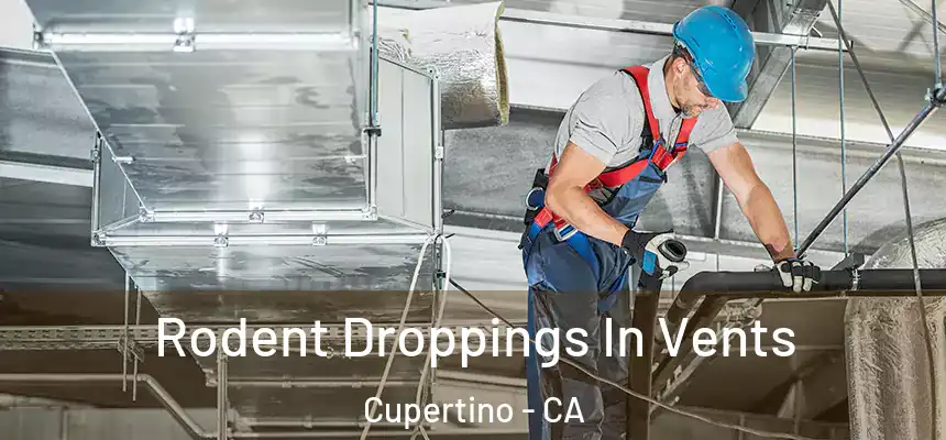  Rodent Droppings In Vents Cupertino - CA