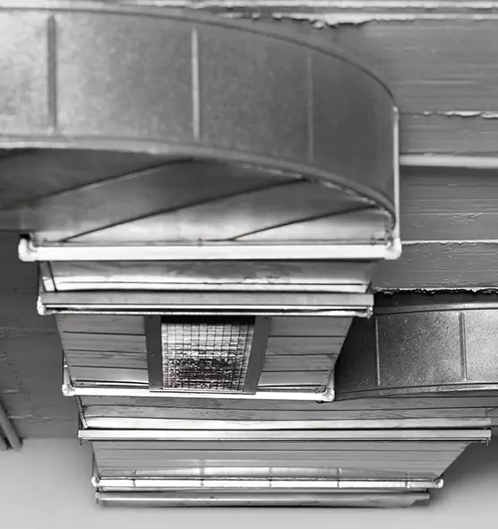 Professional Air Duct Pet Hair Removal in Cupertino, CA