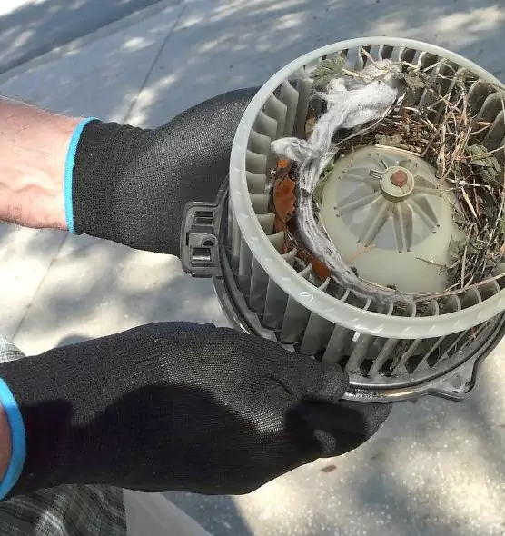 About Air Duct Rat Removal in Cupertino, CA