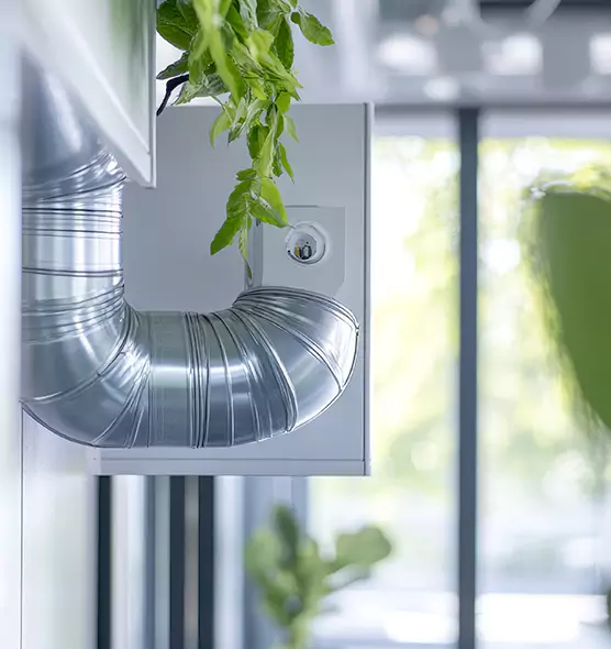Professional Eco-Friendly Duct Cleaning Services in Cupertino, CA