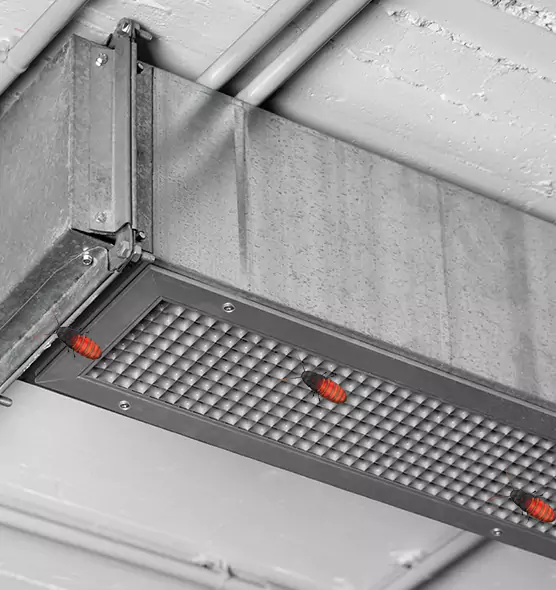 Affordable Insect Removal from Air Ducts in Cupertino, CA