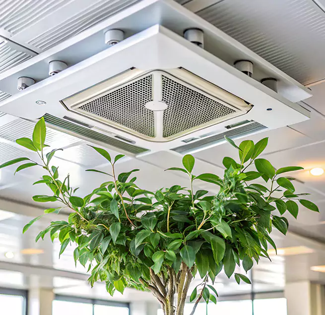 Why Homeowners & Businesses Trust Us in Cupertino, CA